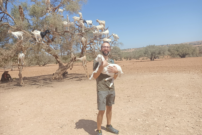 Gita di un giorno da Marrakech a Essaouira