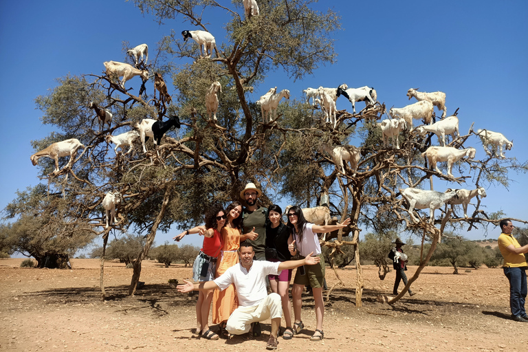 Gita di un giorno da Marrakech a Essaouira