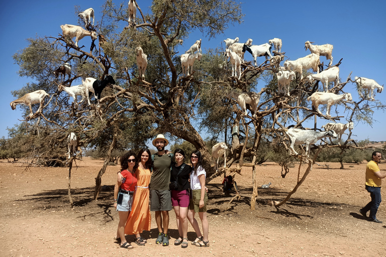 Gita di un giorno da Marrakech a Essaouira