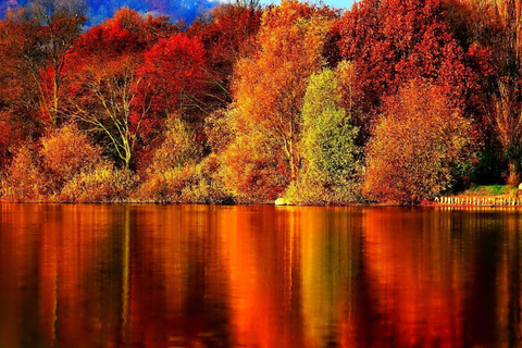 Montreal: Visita guiada aos Laurentides