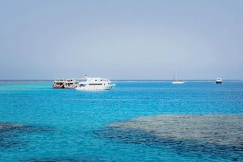 Kairo : Dagsutflykt vid Röda havet på Stella Di Mare