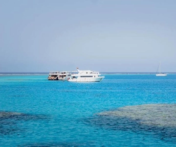 Cairo : Day trip at the red sea at Stella Di Mare