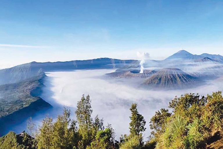 Von Bali aus: Mount Bromo & Ijen Vulkan 3 Tage Tour