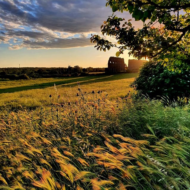 antike römische Landwirtschaft