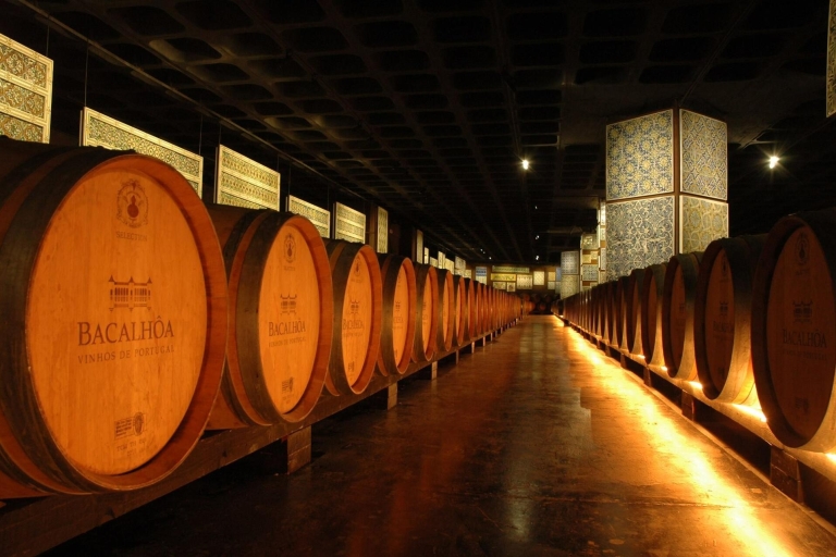 Lizbona: Prywatna całodniowa degustacja wina