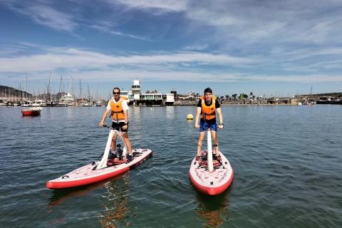 Getxo: Bay of Biscay Guided Water Bike Tour