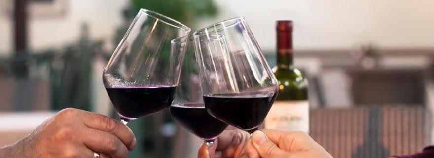 Lisbonne : Visite privée d'une jounée de dégustation de vins dans une voiture haut de gamme.