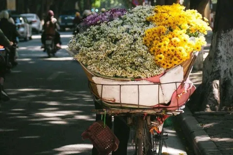Hanoi: tour privado de medio día por la ciudad