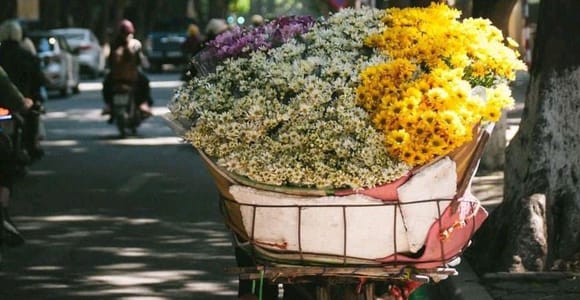 Hanoi: Half-day Private City Tour