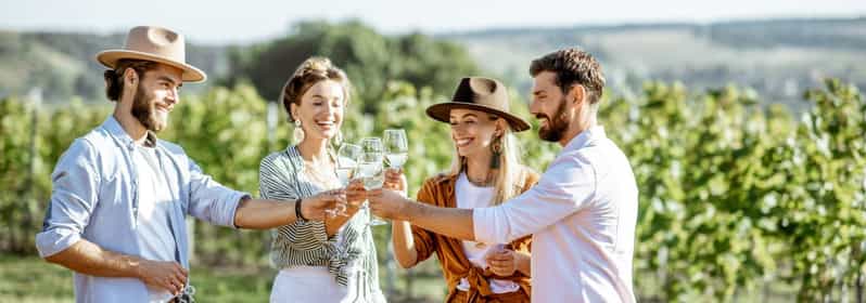 From Sydney: Luxury Hunter Valley Private Tour