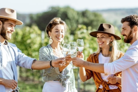 From Sydney: Luxury Hunter Valley Private Tour with Lunch
