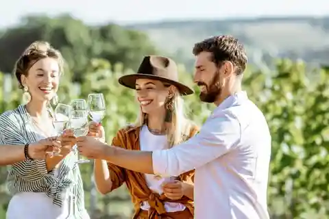 De Sydney: excursão privada de luxo a Hunter Valley