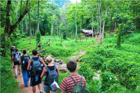 From Hanoi: Cuc Phuong National Park Tour with Lunch