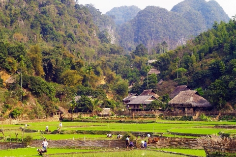 3Daytrip:PuLuong Nature reserve -Ninh Binh great attraction