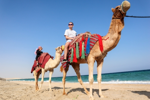 Demi-journée privée de safari dans le désert + promenade en chameauExcursion privée d'une demi-journée dans le désert + promenade en chameau