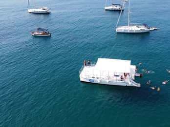 From Agropoli: Cilento Coast - Boat tour