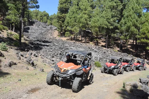 La Palma : Excursion en buggy sur la route des volcans