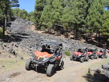 La Palma: Volcano Route Buggy Tour