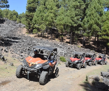 La Palma: Vulkanroute Buggy Tour