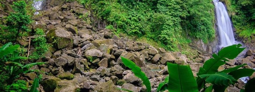 Tour de ville avec jardins, volcan, chutes de Trafalgar, Morne Bruce