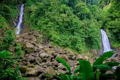 City Tour w/ Gardens, Volcano, Trafalgar Falls, Morne Bruce