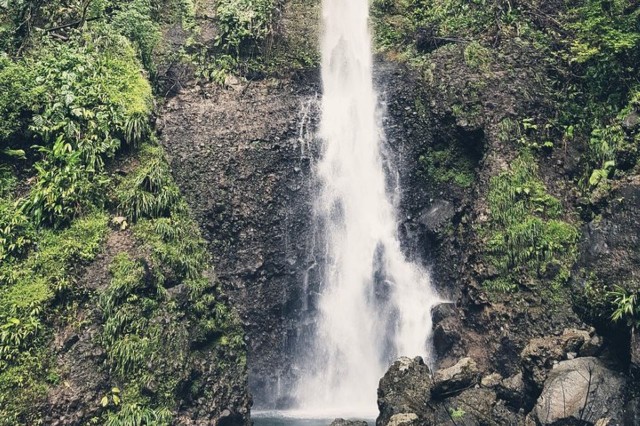 Visit Roseau Middleham Falls and Titou Gorge Half-Day Hiking Trip in Roseau