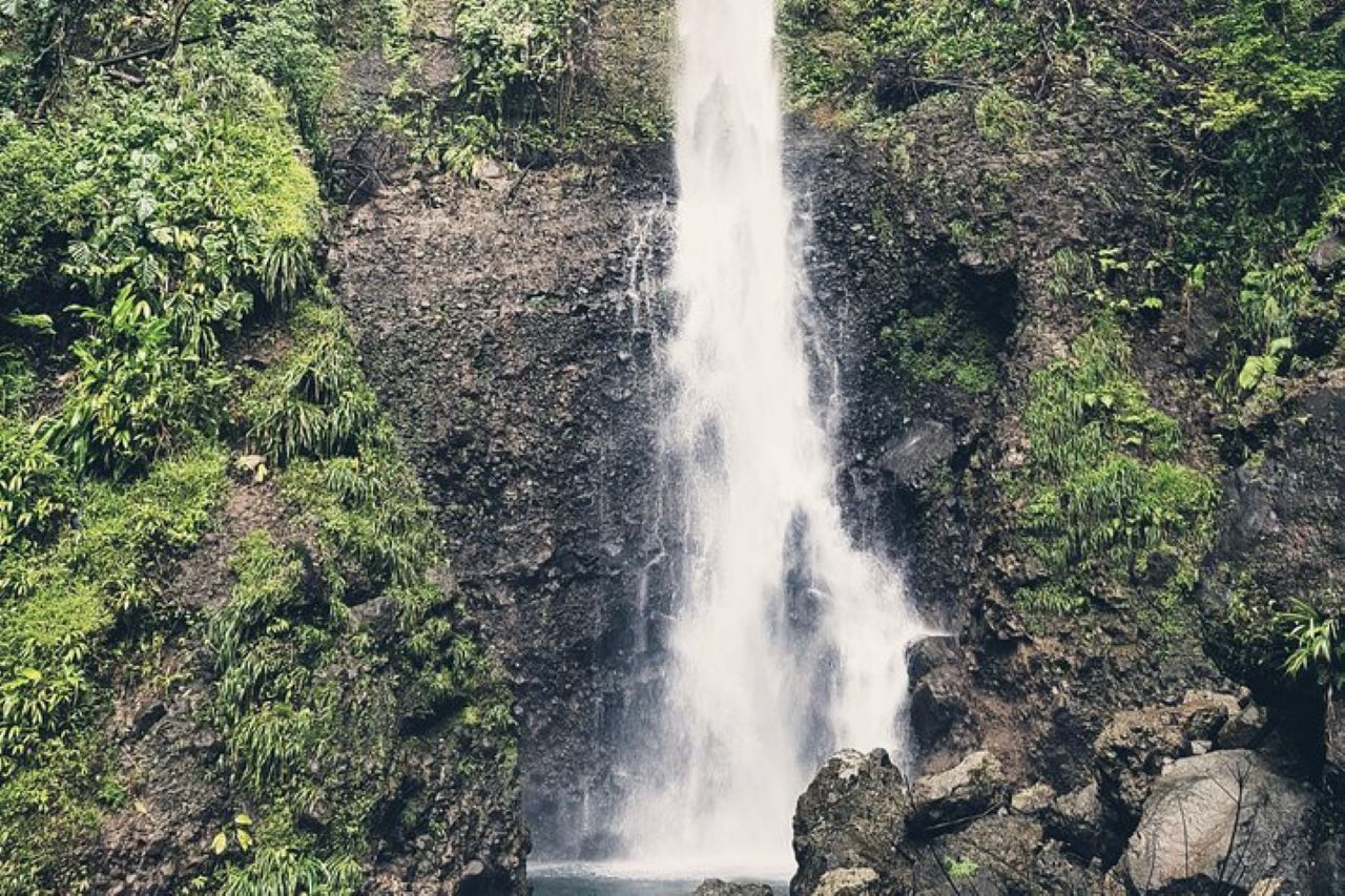 Roseau: Wanderung zu den Middleham Falls & Titou-Schlucht, halbtägiger Ausflug