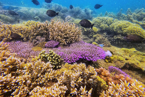 Wycieczka z Lombok na Gili Asahana: idealny dzień w raju