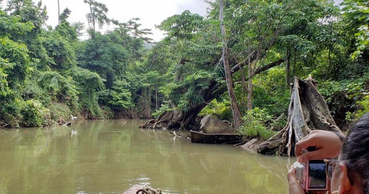 Roseau Indian River und Fort Shirley Tour mit Mittagessen GetYourGuide