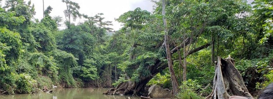 Roseau : Indian River et Fort Shirley avec déjeuner