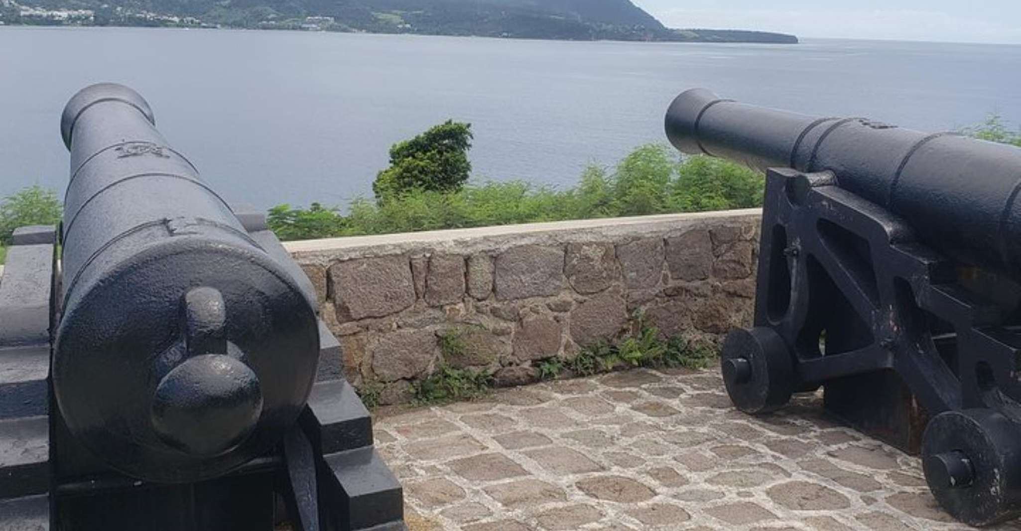 Roseau, Indian River & Ft. Shirley Tour mit Mittagessen - Hizvo