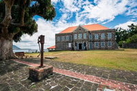 Roseau, Indian River & Ft. Shirley Tour mit Mittagessen - Hizvo