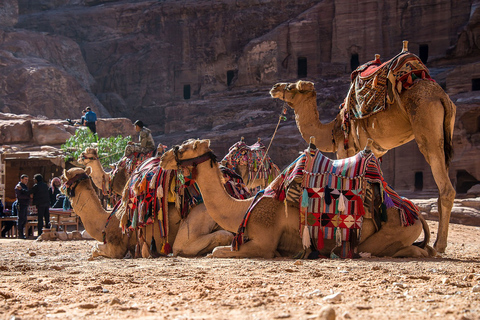 Da Tel Aviv: Tour di Petra di 2 giorni con voli e alloggioHotel a 5 stelle di classe di lusso