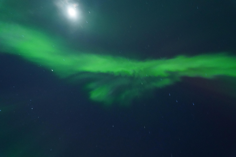 From Kiruna: Abisko National Park Northern Lights Tour
