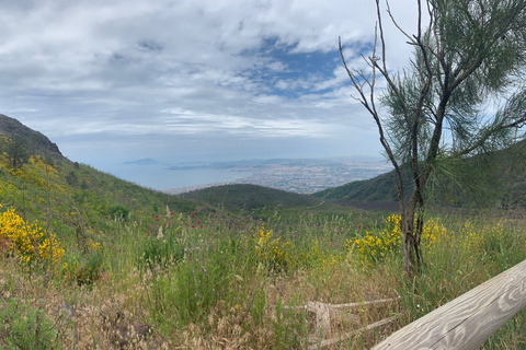 Mount Vesuvius: Smartphone Audio Guide