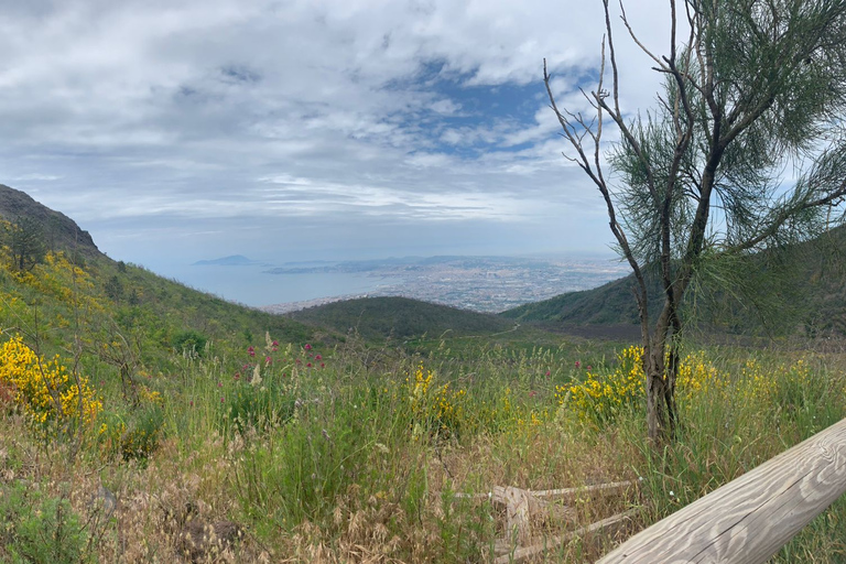 Monte Vesubio: Audioguía para Smartphone