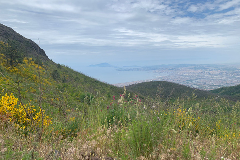 Monte Vesubio: Audioguía para Smartphone