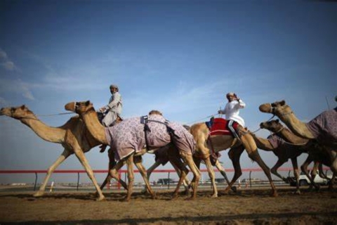 Woestijnsafari van een hele dag, kameelrijden, dune bashen, binnenzeeWoestijnsafari van een hele dag, kameelrijden, duinen bashen, binnenzee