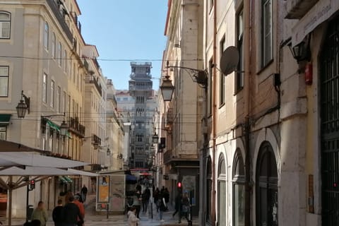 The historical funiculars of the 7 hills of Lisbon