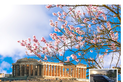 Athens: Wheelchair accessible Top Sights Half-Day Tour Pickup Option