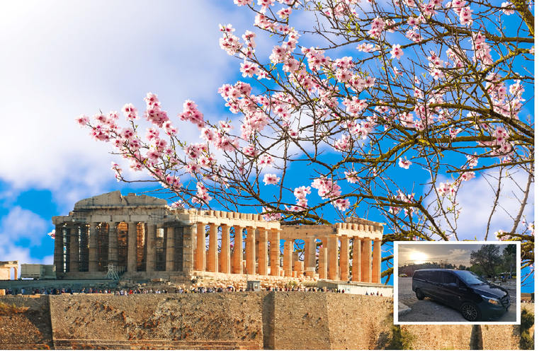 Athens: Wheelchair accessible Top Sights Half-Day TourPickup and/or drop off at any address in specified area