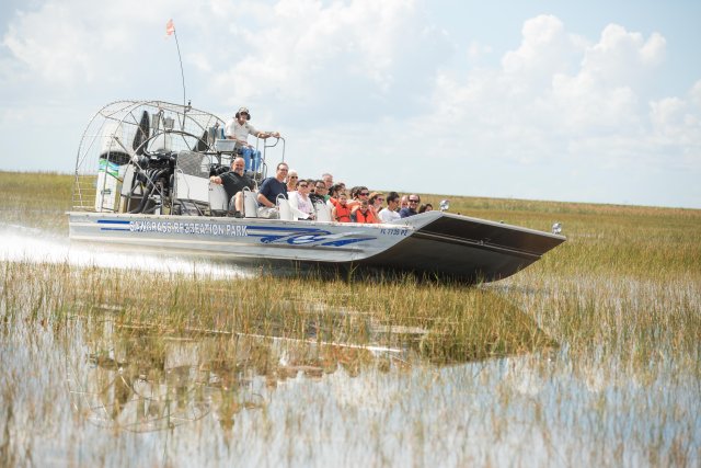 Everglades: Sawgrass Park Airboat-Tour am Tag &amp; Ausstellung