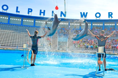 Hurghada: espectáculo de 1 hora en Dolphin World con recogida en el hotelEntradas Dolphin House con traslado privado