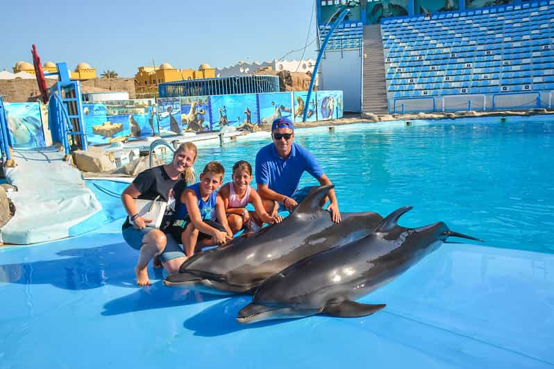 Hurghada: 1-Hour Show at Dolphin World with Optional Pickup