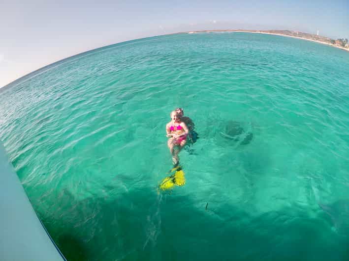 Aruba Private Snorkel Tour GetYourGuide