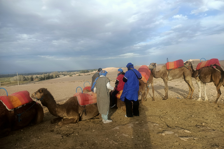 Agafay Desert Quad and Camel Trekking with DinnerAgafay Desert Quade and Camel Trekking with Dinner