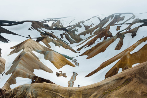 Från Reykjavík: Vandring i Landmannalaugar och Tårarnas dal