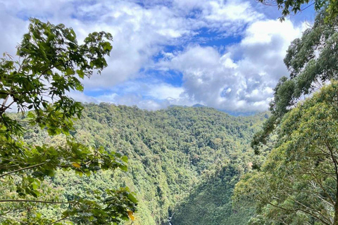 From San José: Poás Volcano,Local Coffee Farm & Birdwatching Poas volcano active crater, la Paz Waterfall & birdwatching