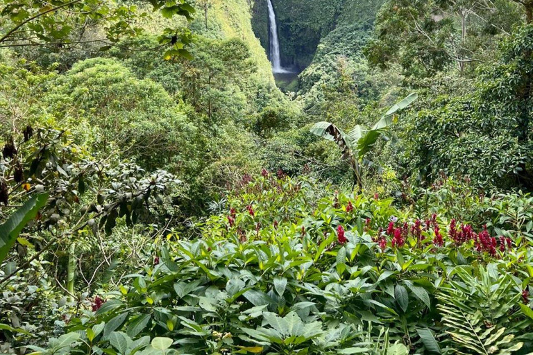 From San José: Poás Volcano,Local Coffee Farm & Birdwatching Poas volcano active crater, la Paz Waterfall & birdwatching