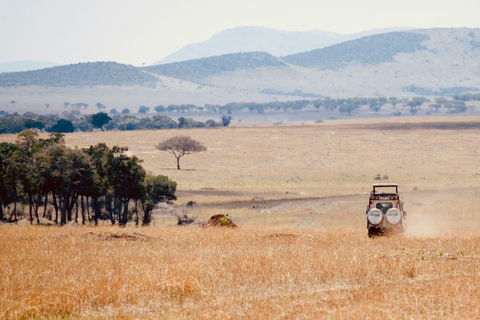 Day trip safari to Ngorongoro Crater